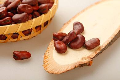 B社回应玩家对《星空》的担忧：别担心 请放心等待